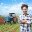 African woman Agriculture Farmer examining corn plant in field. Agricultural activity at cultivated land. Woman agronomist inspecting maize seedling.Expert inspect plant quality in green field rural.