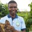 scaling-up-innovations-in-agriculture-lessons-from-africa-780x439-569